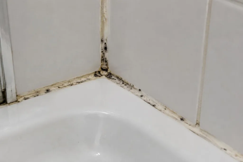 Kitbedrijf Sassenheim – beschimmelde kitranden